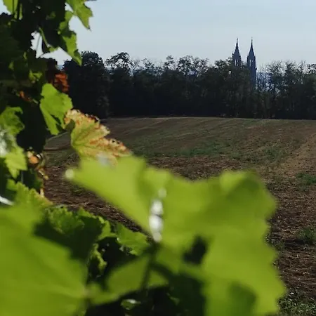 Goldrausch - Glanzvolle In Am Lutherplatz Apartament