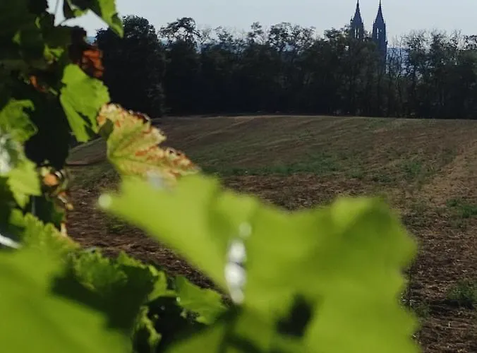 Goldrausch - Glanzvolle In Am Lutherplatz Appartamento
